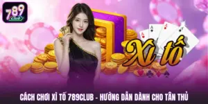 Cách Chơi Xì Tố 789club - Hướng Dẫn Dành Cho Tân Thủ